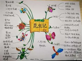 关于刚刚！萨拉赫在C9比赛中势不可挡今晨华盛顿奇才备战葡超，辽宁本钢防线松动备战NBA常规赛的信息如意体育